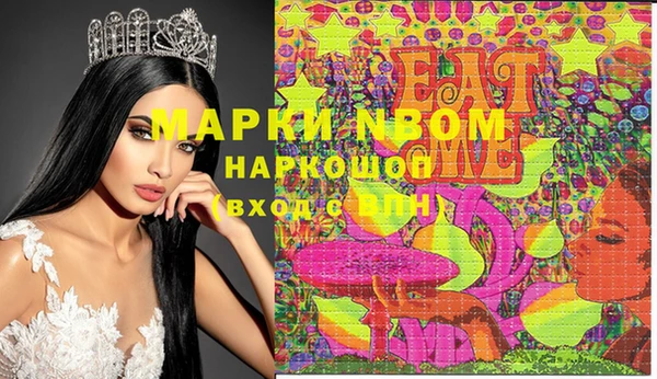 стафф Надым