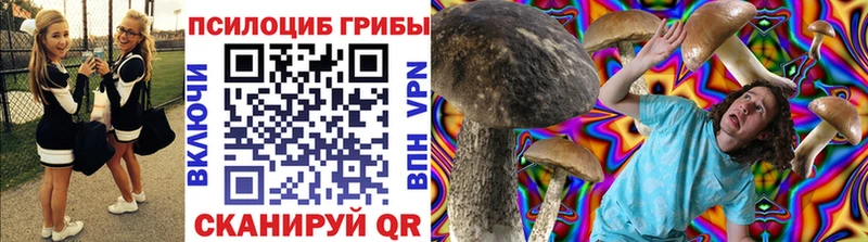 Галлюциногенные грибы мухоморы  даркнет сайт  Курчатов 