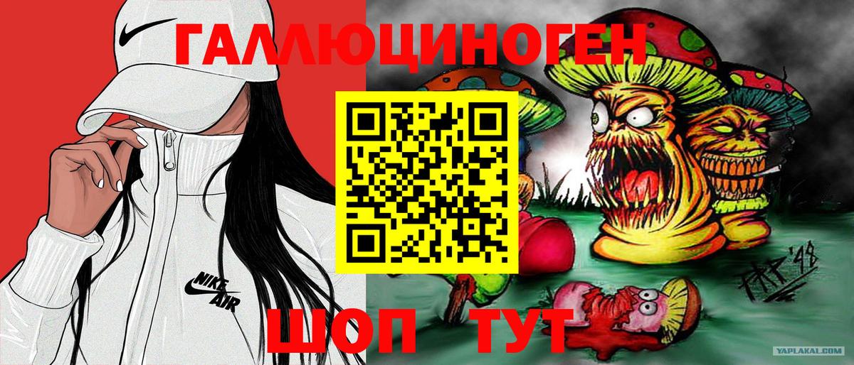закладка  Вход с VPN  Курчатов  Псилоцибиновые грибы мицелий 